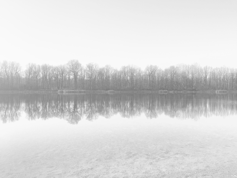 forest, relfection, reflection, tranquility, day, copy space, plant, tree, photography, lake, nature, mist, idyllic, tranquil scene, water, reflection lake