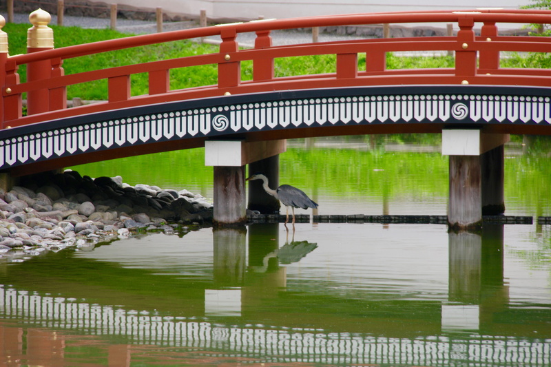 relfection, crane, architecture, stork, water, bridge, built structure, railing, text, temple, bridge - man made structure, uji, nature, wood - material
