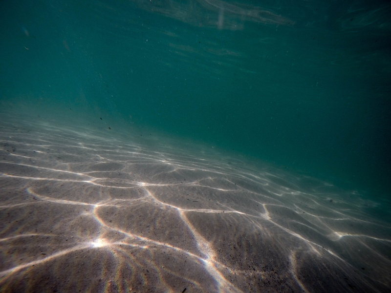 outdoors, 4K, sydney, land, no people, day, undersea, gloomy, underwater, sunrays, waves, sunlight, sea life, dark, marine, water, swimming pool, floating