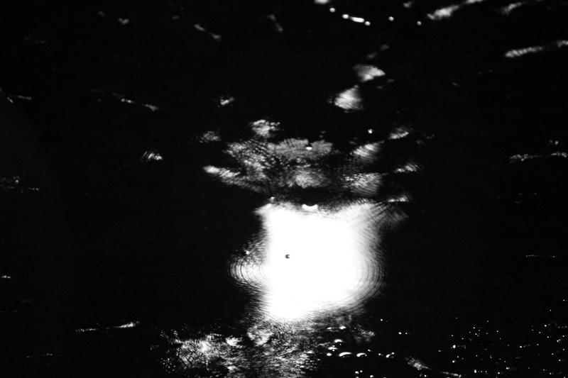 illuminated, lifestyles, outdoors, reflection, low angle view, unrecognizable person, water, dark, tree, 4K, night, nature, one animal, puddle relfection