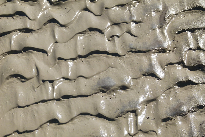 freshness, grey, rainy day, repetition, nature, high angle view, muddy sand, food, sweet food, heavy rain, texture, pattern, backgrounds, day, flooding