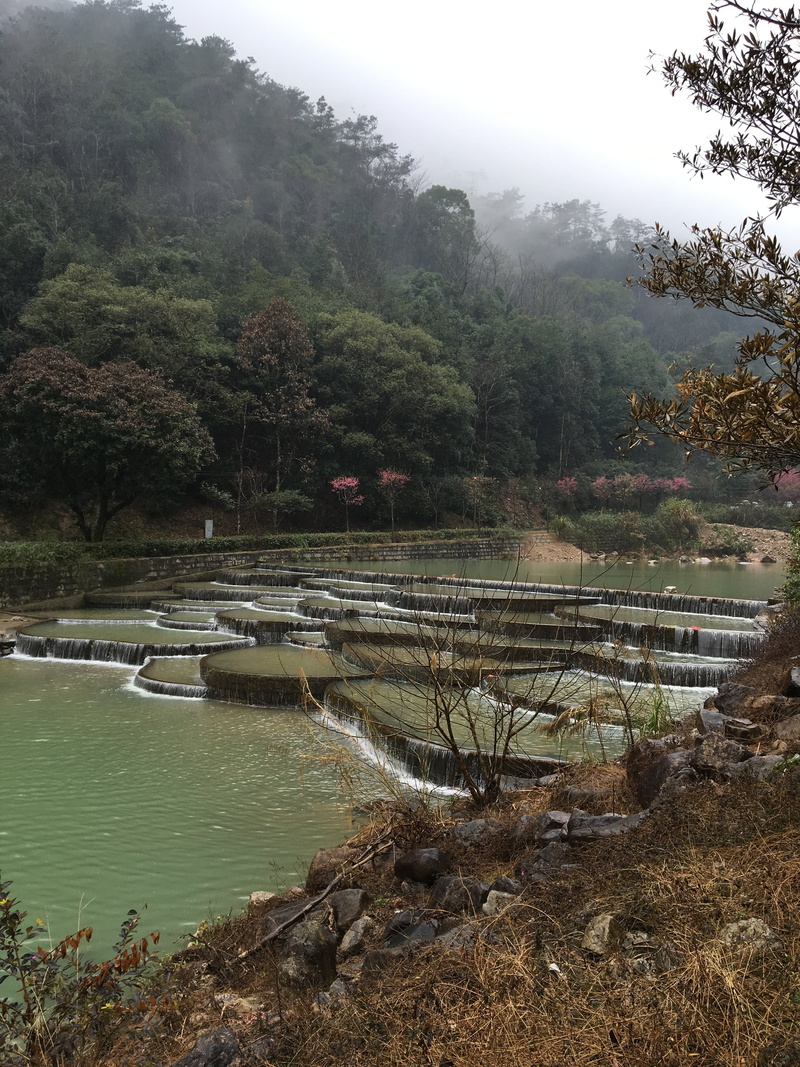 land, tree, 4K, fog, heavy rain, tranquil scene, fuzhou, forest, outdoors, forest park, plant, non-urban scene, no people, day, scenics - nature, growth