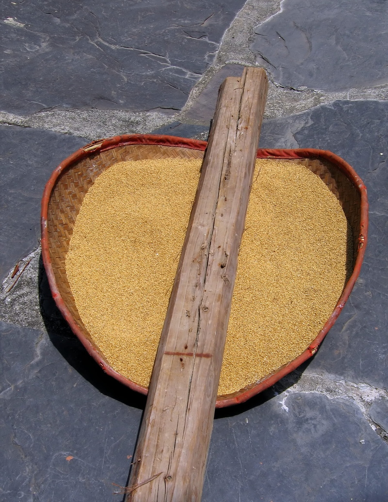slate, food, tiny, no people, wood - material, ripe, water, kernel, winnow, crop, grow, thresh, plastic, circle, threshed, cereal, nature, fodder, small