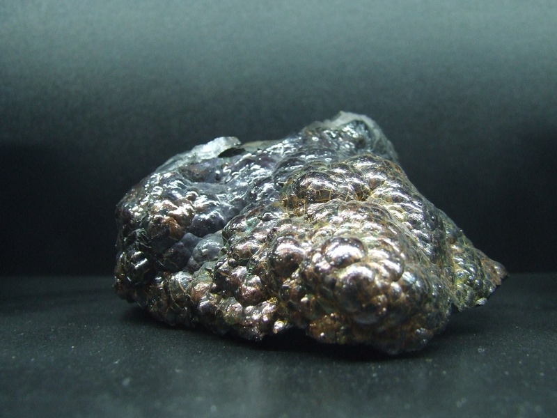 textured, animal themes, hematite, indoors, metallic, rock - object, no people, animal wildlife, table, pattern, solid, iron oxide, 2K, animal, marine