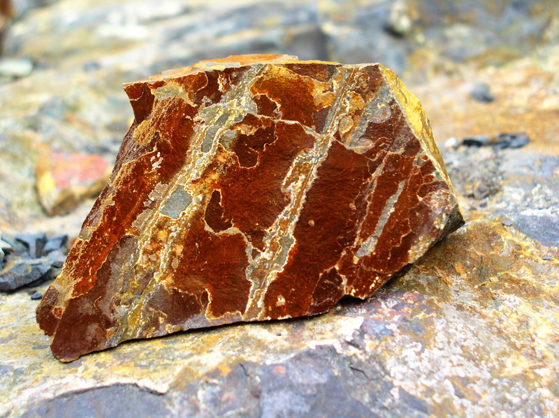 1080P, lichen, high angle view, geology, Iron Oxides, rough, close-up, focus on foreground, no people, day, sea, Stone, textured, rock - object, Rock