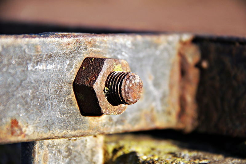 thread, old, animal themes, nut, no people, day, animal, close-up, iron, weathered, rusty screw, selective focus, wood - material, outdoors, nut - fastener