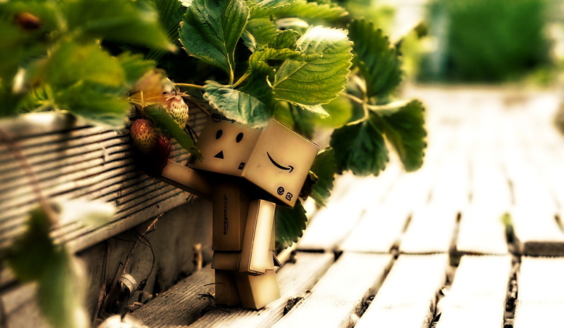plant part, 720P, outdoors, representation, plant, Danbo, black, sunlight, day, green, close-up, creativity, no people, selective focus, wood - material