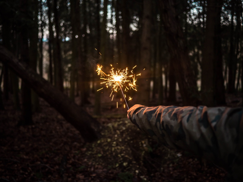 glowing, motion, sparkler, night, bengali fire, tree, illuminated, outdoors, holding, long exposure, fun, holiday, hand, firework, flame, 4K, firework Display