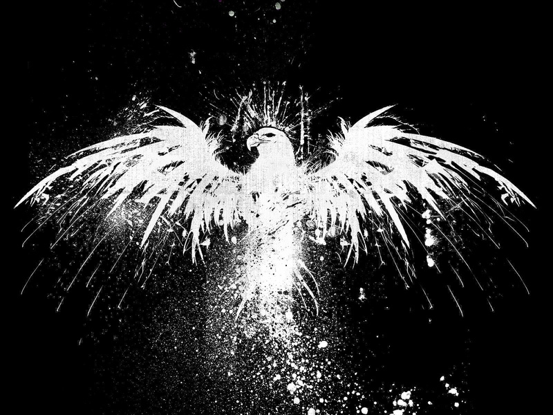 monochrome, exploding, sparkler, light, 720P, night, firework, nature, illuminated, firework - man made object, water, blurred motion, motion, event, paint splatter
