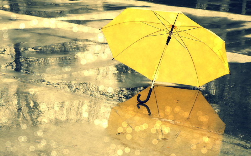 yellow, reflection, 2K, rain, umbrella, water drops