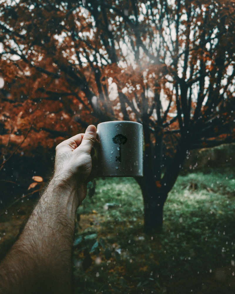 plant, faded, hand, mug, rain, drink, focus, dark, ceramic, autumn, rain drop, drinking, wet, focus on foreground, outdoor, explore, coffee, real people