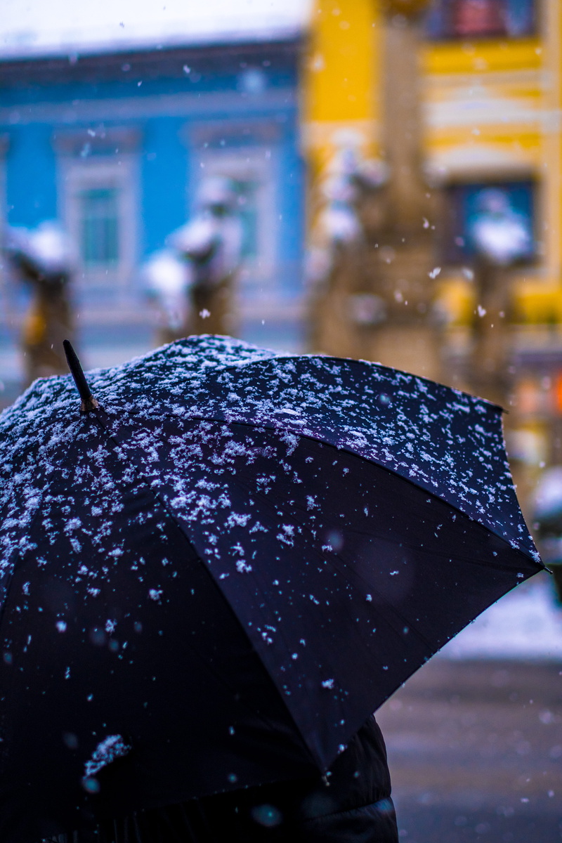 person, wet, using, 5K, building exterior, nature, built structure, protection, colour, umbrella, no people, focus, winter, focus on foreground, standing