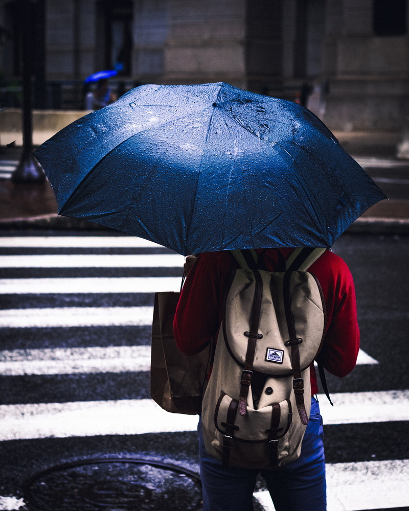 crosswalk, weather, wet, day, storm, men, cloudy, females, philly, protection, blue, city Life, people, outdoors, person, autumn, meteorology, backpack