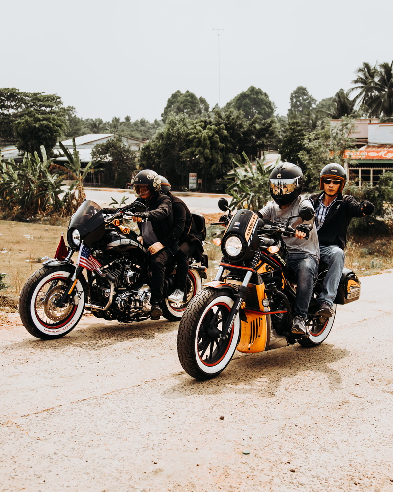 plant, 4K, transportation, headwear, land vehicle, vehicle, tree, helmet, men, clothing, harley davidson, outdoors, tire, motor, motorcycle club, building