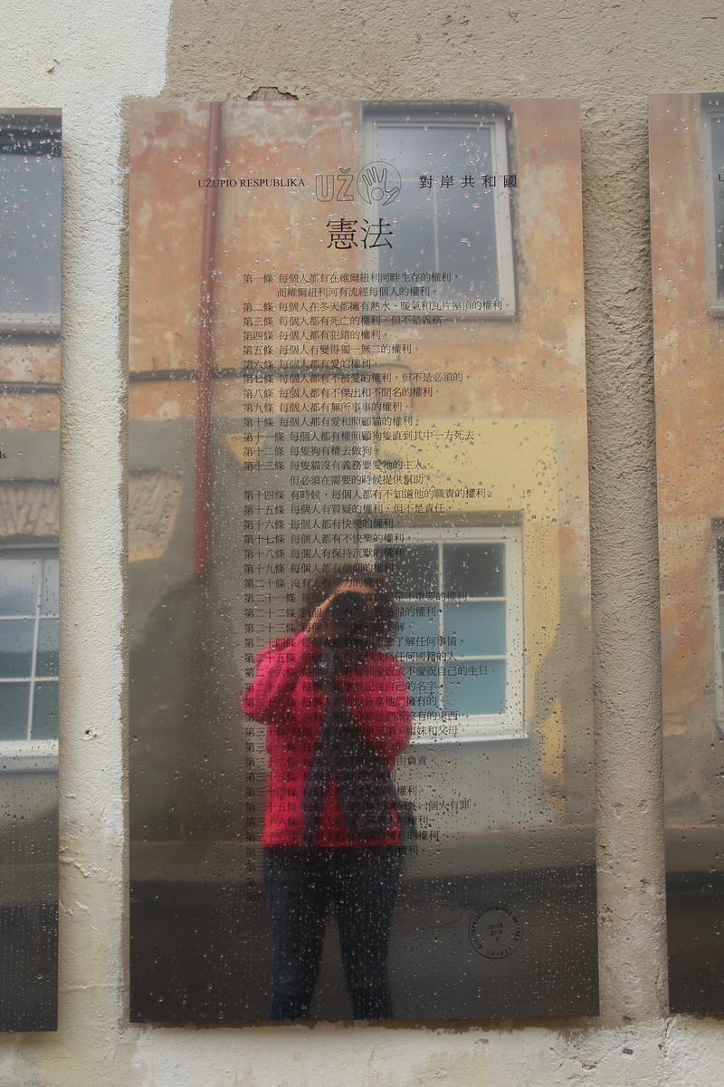 brick, day, reflection, casual clothing, adult, rear view, photographer, glass - material, standing, outdoors, rain, built structure, city, characters