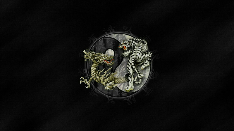 dragon, tiger, close-up, no people, jewelry, yin and yang, fiction, representation, copy space, luxury, floral pattern, gemstone, artistic, art, fantasy