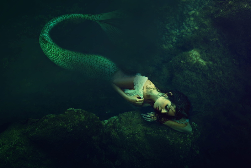 rock - object, animals in the wild, fish, ocean, sea, animal themes, nature, animal, one animal, sirens, vertebrate, no people, green color, undersea, creature