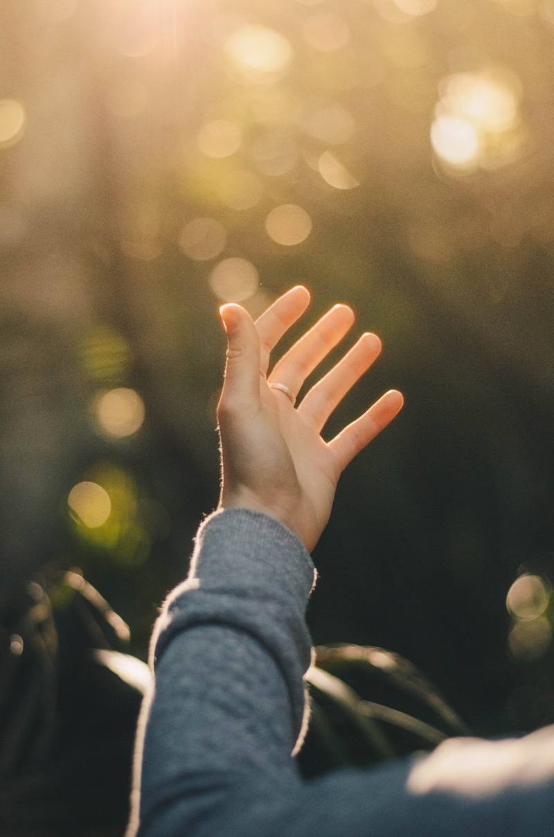 nature, close-up, 4K, spirituality, real people, body part, photography, mr hand, day, selective focus, raising, showing, bokeh, finger, unrecognizable person