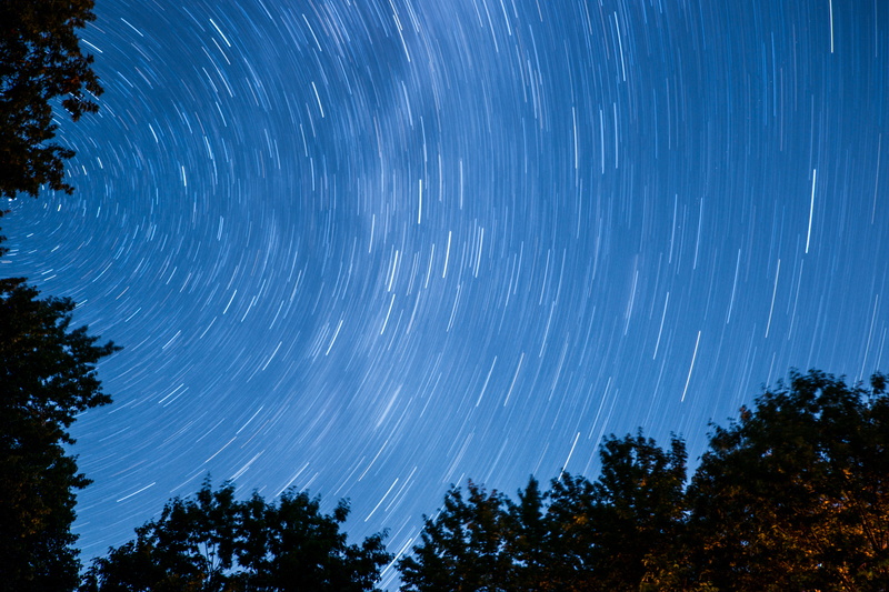 wood, forest, long exposure, concentric, wilderness, time lapse, night, trees, space, outdoors, motion blur, motion, astronomy, blurred motion, no people