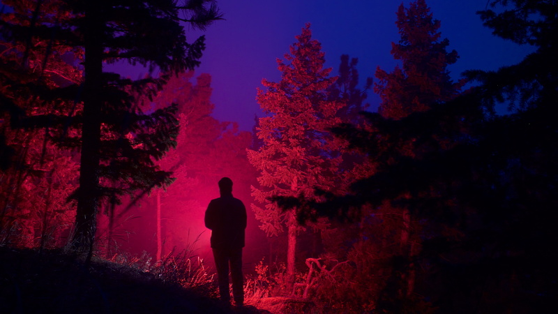 beauty In Nature, sunset, black Color, spooky, light, horror, hiking, red, women, females, forest silhouette, back Lit, person, fog, adult, autumn, nightime
