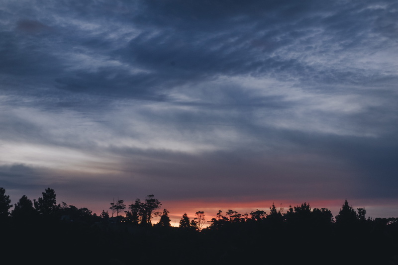 idyllic, nightime, forest, nature, moody, tranquility, cloudy, non-urban scene, cloud - sky, tree, dark, 2K, plant, environment, trees, growth, silhouette