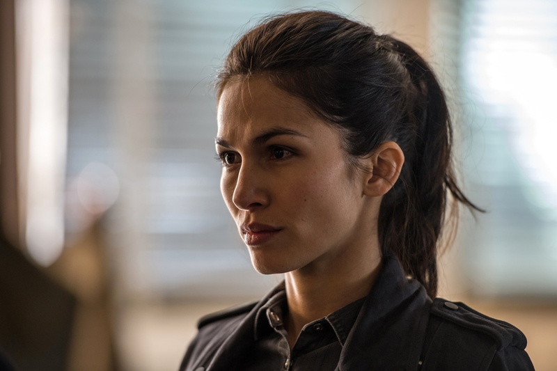 frame, The Hitmans Bodyguard, Bodyguard killer, the film, Elodie Yung, 2K
