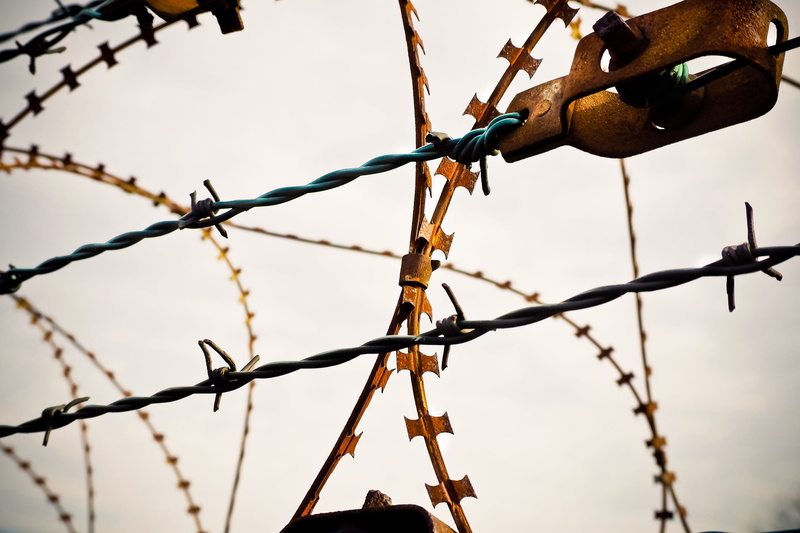 prison, razor wire, chainlink fence, 4K, shut off, burglary, safety, close-up, protection, wire, outdoors, forbidden, supervision, control, refugees, nature