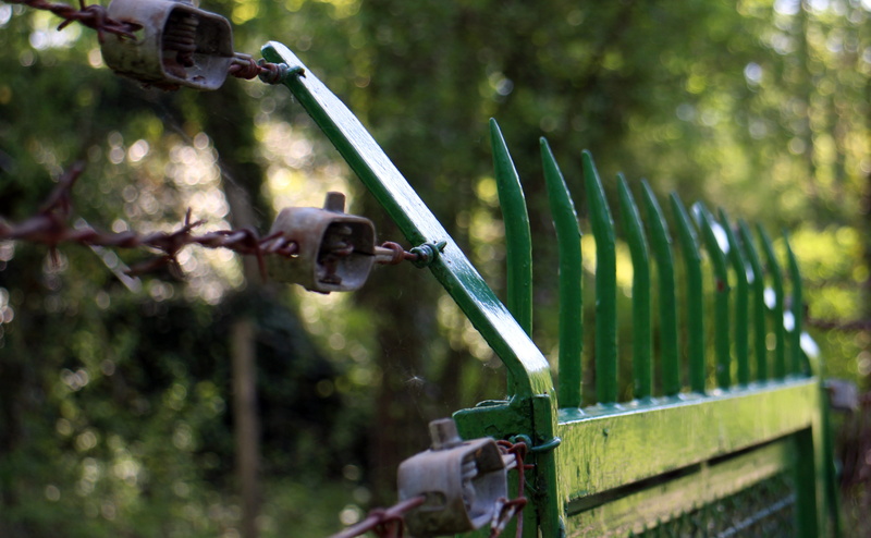 nature, security, forest, close-up, fence, Theft, 5K, machinery, growth, tree, barrier, day, metal, sunlight, barbed wire, agricultural machinery, industry
