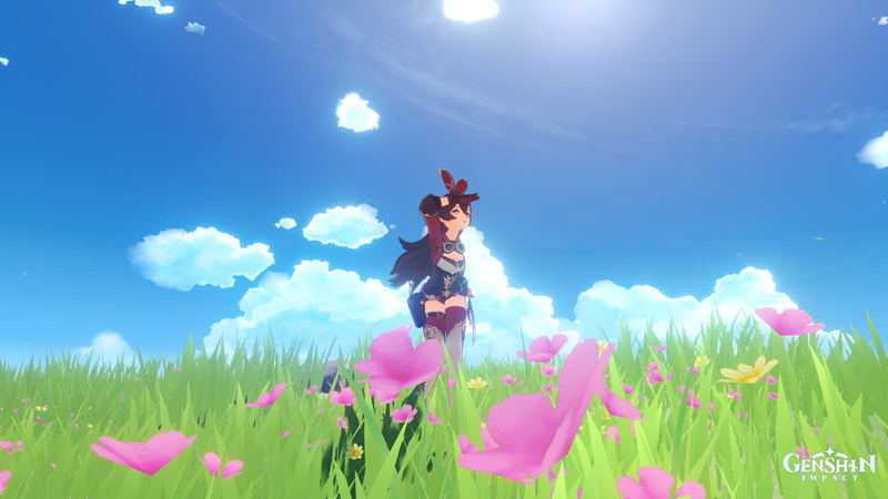 flowers, 2K, grass, sky, Genshin Impact, amber