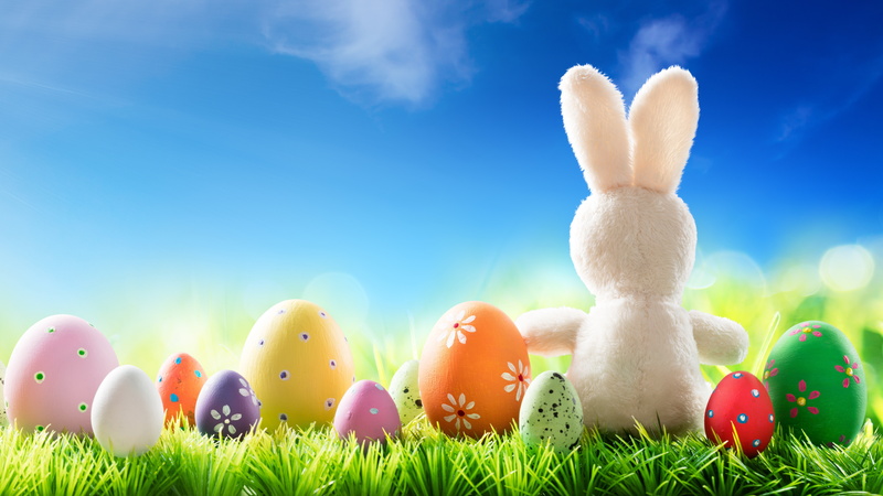 eggs, Happy, spring, rabbit, 8K, Easter, decoration, grass, flowers, bunny, the sun, the painted eggs