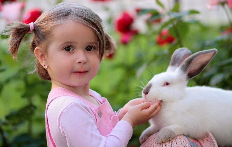 portrait, women, girl, small, rabbit - Animal, dungarees, holding, fun, looking at camera, innocence, child, springtime, friendship, pets, childhood, rabbit