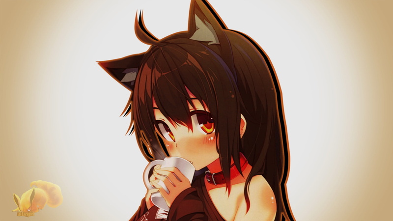 anime girls, 1080P, neko ears, loli, orange background, coffee, anime