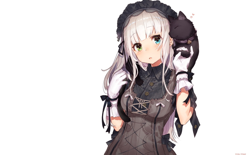 neko, looking at camera, gloves, cut out, headband, Anime, anime girl, front view, 1080P, three quarter length, heterochromia, one person, portrait, standing