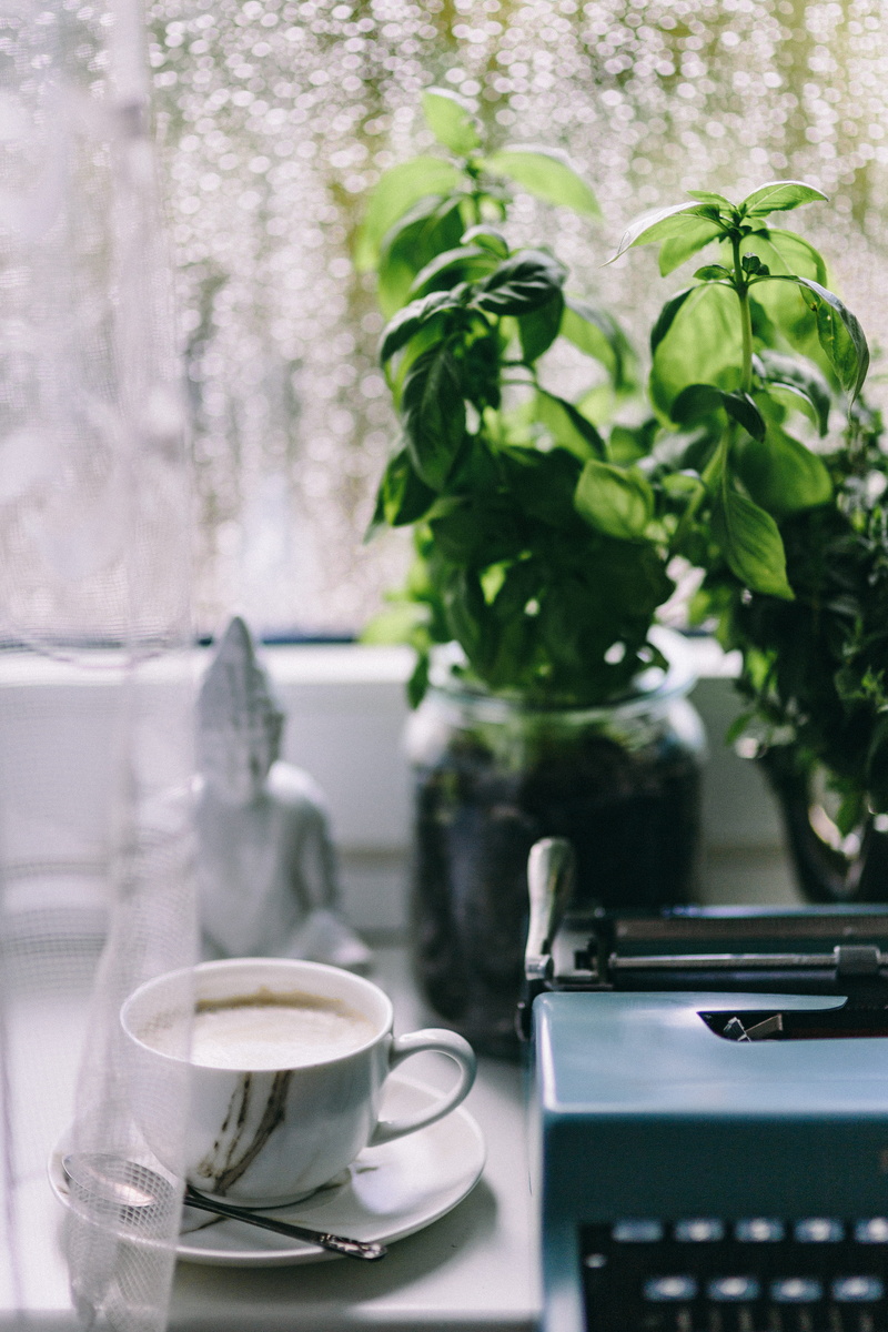 coffee Cup, plant, breakfast, rainy, freshness, mug, working, typewriter, non-alcoholic beverage, coffee, saucer, focus on foreground, close-up, rainy day