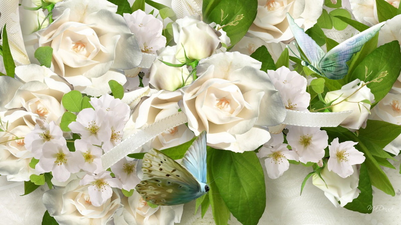 roses, white, 3d and abstract, flowers, butterflies, regal, apple blossoms, 1080P, summer, ribbon, wedding