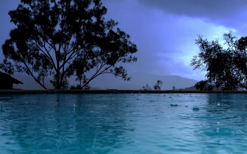 1080P, rain, water, fall, 3d and abstract, must, lake, little, trees, nature, photography