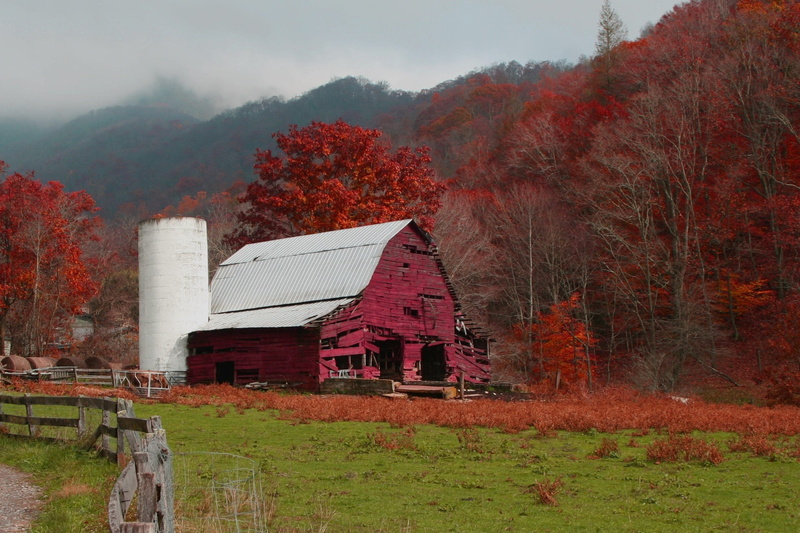 landscape, built structure, autumn, environment, plant, no people, nature, house, farm, day, tree, mountain, 1080P, scenics - nature, land, building exterior