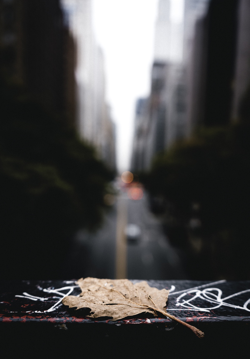 fall, outdoors, cityscape, transportation, city Life, leaf, autumn, photography, urban Scene, background, street, moody, dirty, mood, one Person, rainy