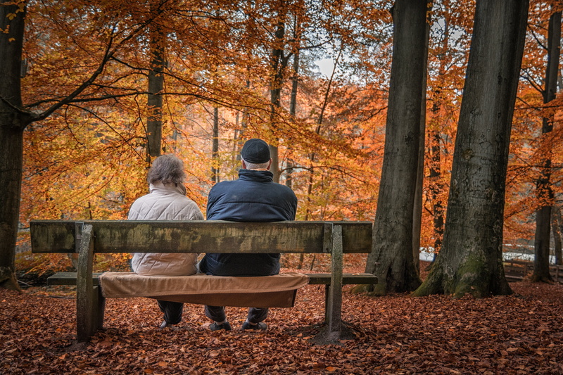 autumn, park - Man Made Space, leaf, bank, warm clothing, outdoors, plant part, rest, yellow, 4K, woman, seat, colors of autumn, leaves, bench, fall trees