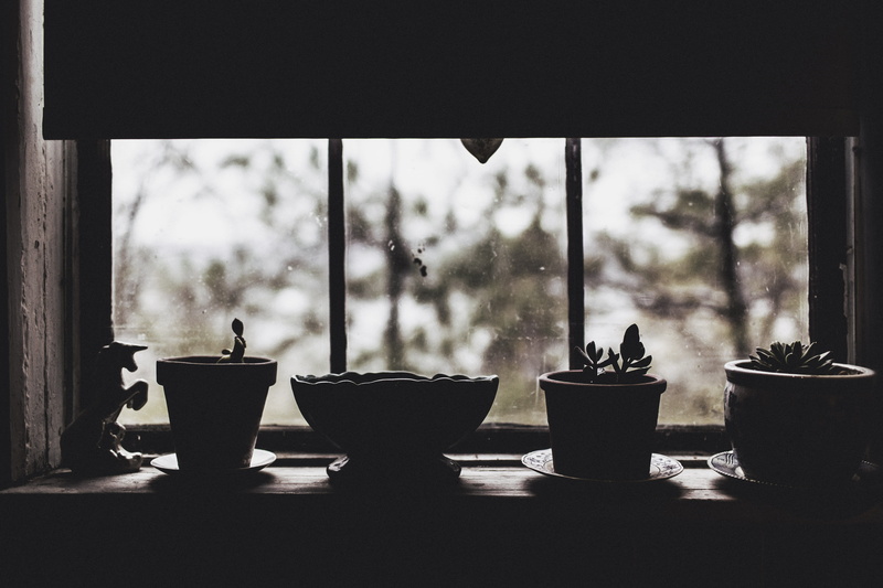 unicorn, no People, close-up, container, potted plant, indoors, glass - material, repetition, objects, transparent, lazy, four, light, sad, succulent plant