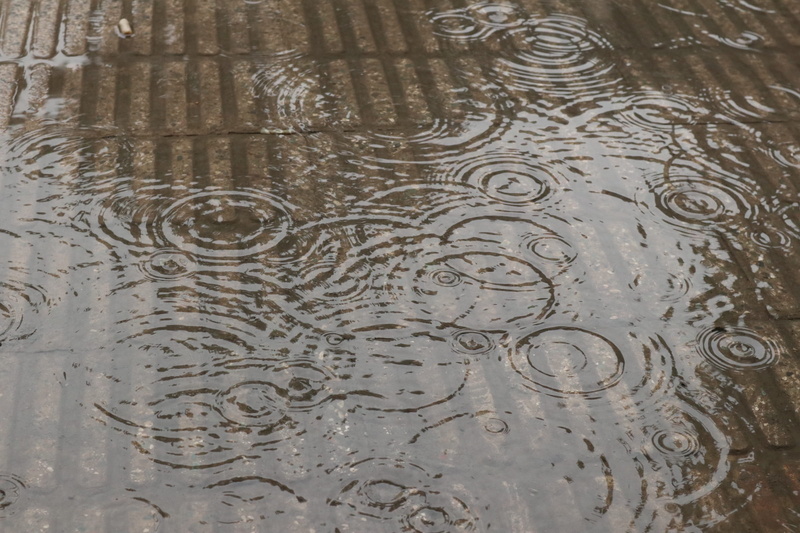 reflection, rain, outdoors, raindrop, 1080P, high angle view, brown, day, concentric, puddle, rippled, wet, iran, nature, water, waterfront, drop, fall