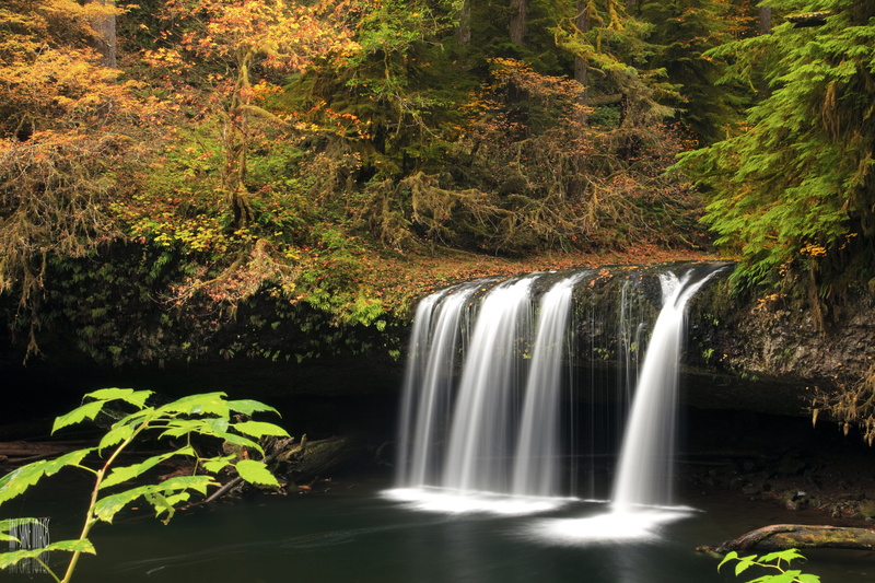 Upper, creek, Long  Exposure, landscape, green Color, nature, forest, 8K, Rain, falls, Butte  Creek, stream, scenics, Hunting  Season, Autumn  Colors