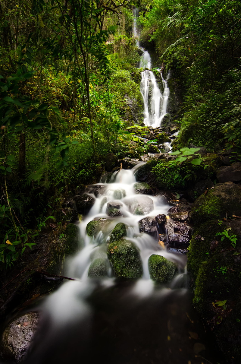 freshness, Tokina, day, forest, nature, rock - Object, photo, rain, tropical Rainforest, green Color, time, D5100, outdoors, Oahu, Waterfall, Falls, river