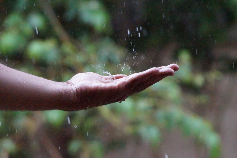 beginning, water drop, drop, human hand, catching, wet, rainy season, falling on hand, fresh, torrential rain, water, outdoors, left, rainforest, 5K, body part