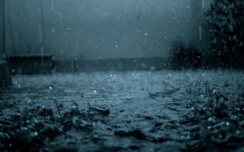 rainy season, torrential rain, cold temperature, water, 1080P, rain, selective focus, monsoon, outdoors, nature, day, raindrop, rain pictures for large desktop