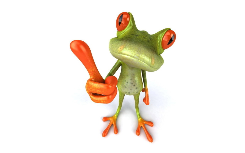 cool, 1080P, frog, nice, animals, funny, love