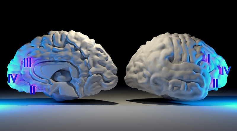 hemisphere, brain, Artistic, 4K, 3D