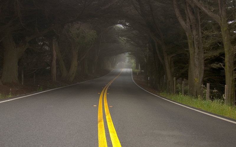 plant, day, no People, asphalt, traffic, woodland, concrete, green Color, vanishing Point, footpath, gray, symbol, street, road, landscape, forest, road marking