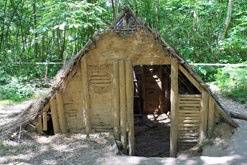 logging, roof, 2K, architecture, countryside, Wattle And Daub, threshed, woodlands, thatched, damaged, built, wood - material, Cabin, building, deterioration