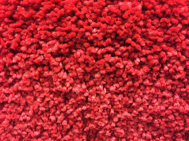 close, day, freshness, tissue, photo, textile, backgrounds, beauty in nature, carpeting, flower, close-up, vibrant color, abundance, wool, fabric, full frame